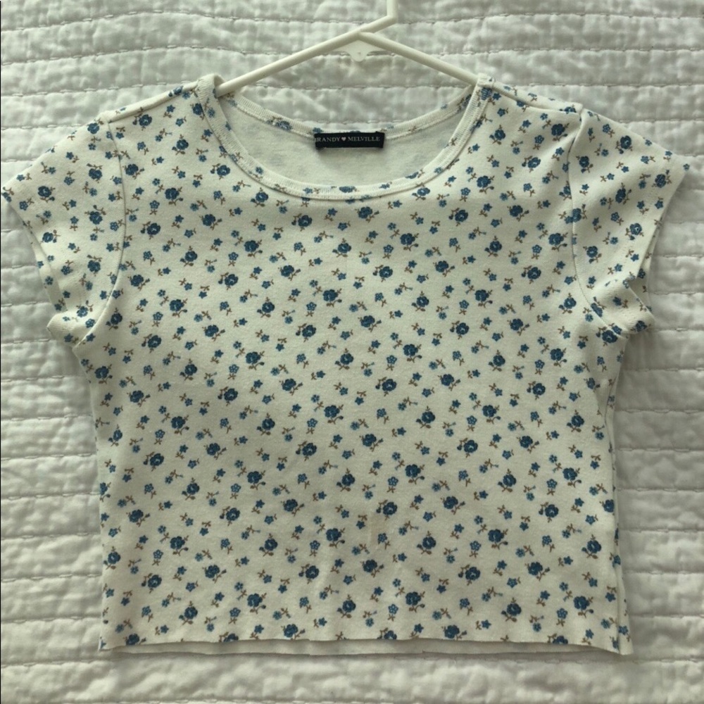 ✨ RARE brandy melville floral crop tee